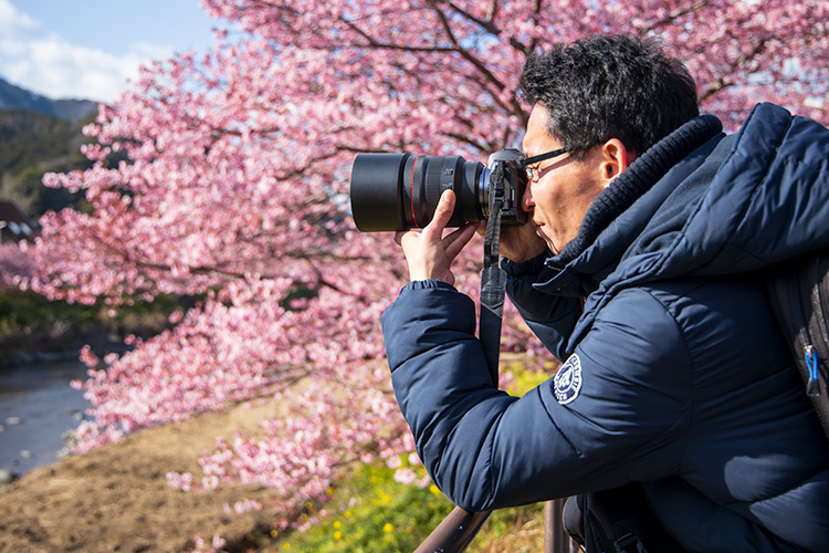 河津桜を撮影する中西さん