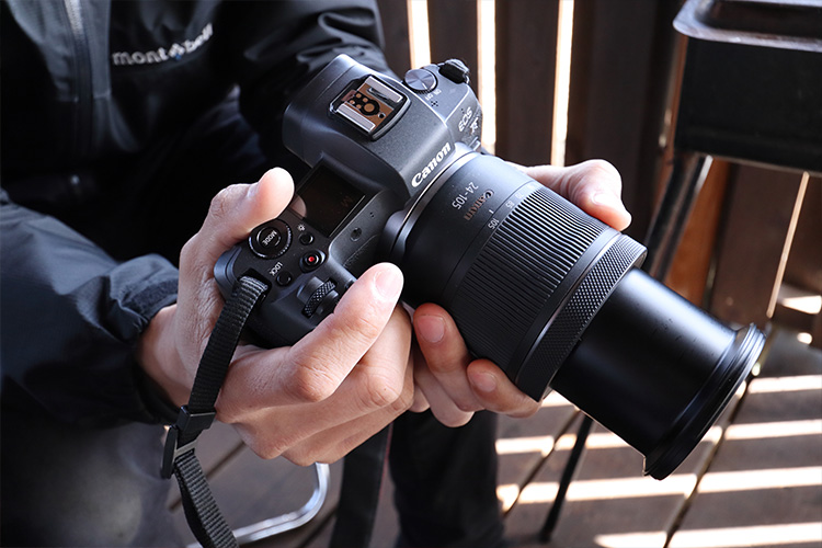 RF24-105mm F4-7.1 IS STM