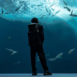 銀鏡つかささんの写真