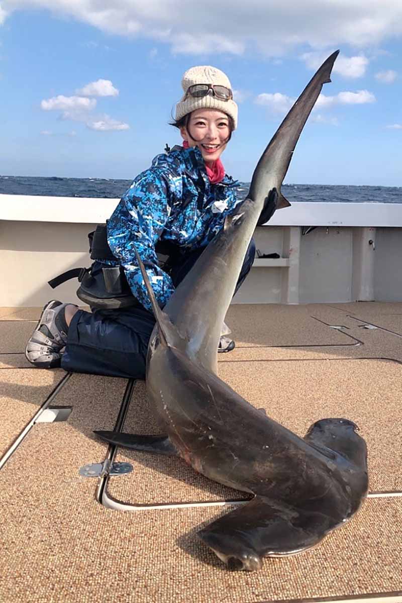 シュモクザメと高本さん