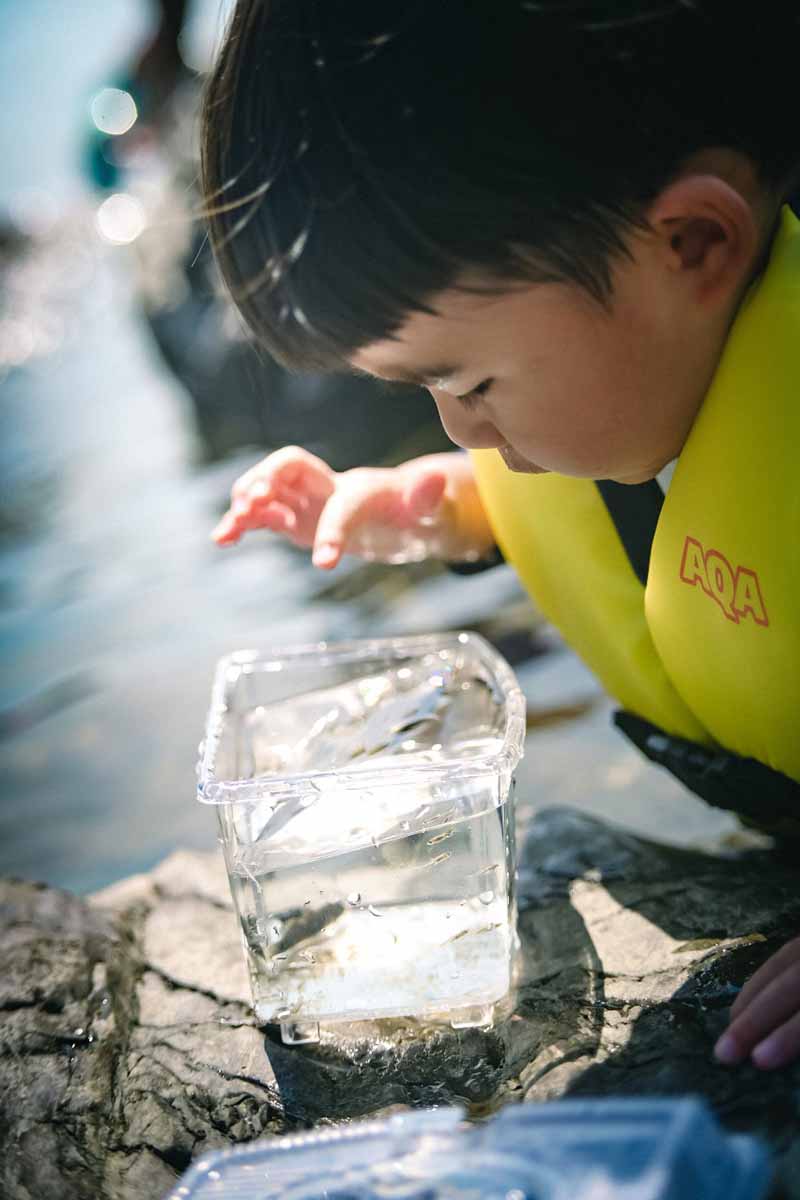 お魚に夢中なお子さんの横顔