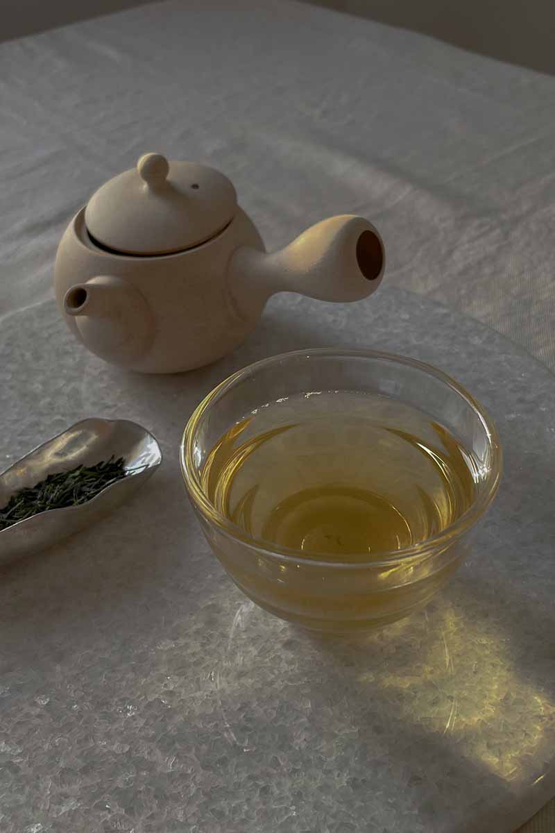 お茶と急須の写真