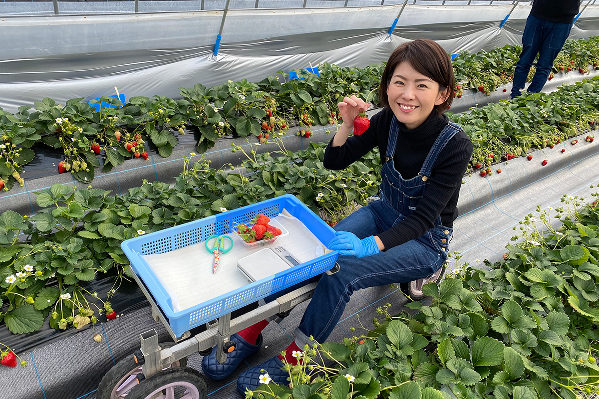 いちごを手に持っている写真