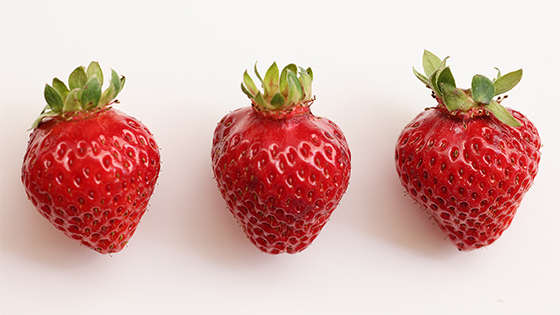 市場に出回らない「本当に美味しいいちご」の感動を届けたいから