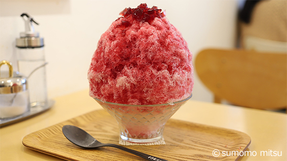 1日3食かき氷！？愛にあふれる伝道師こと「かき氷マニア」として生きる