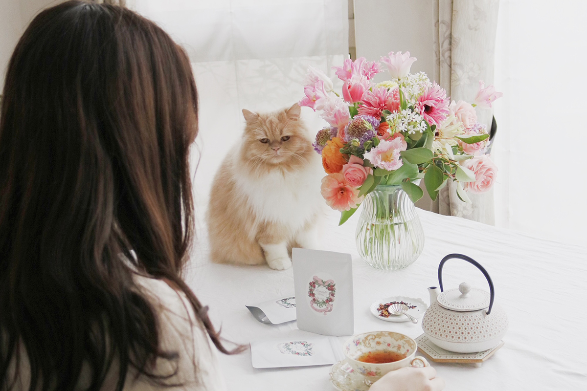 女性の後ろ姿と猫