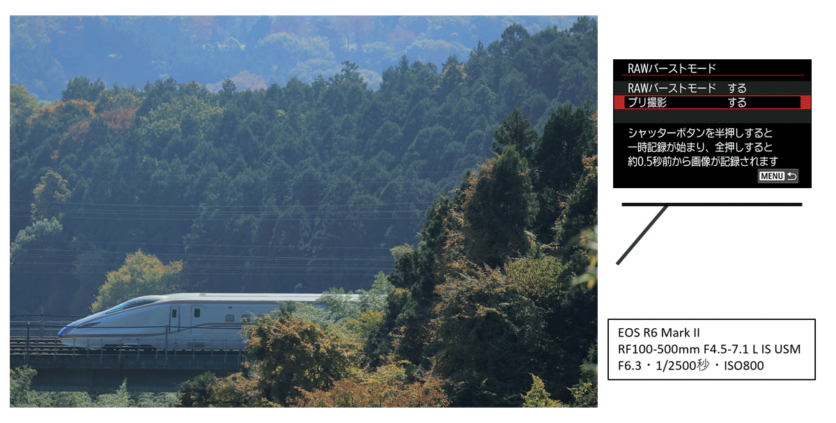 EOS R6 Mark 2・RF100-500mm F4.5-7.1 LIS USM・F6.3・1/2500秒・ISO800