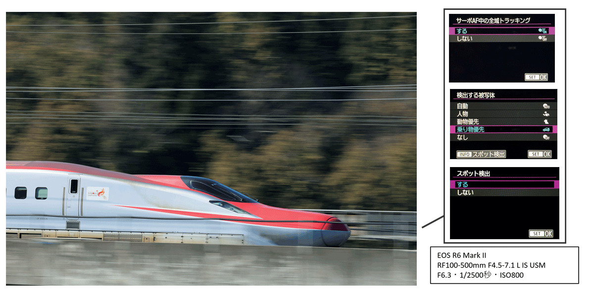 EOS R6 Mark 2・RF100-500mm F4.5-7.1 LIS USM・F6.3・1/2500秒・ISO800