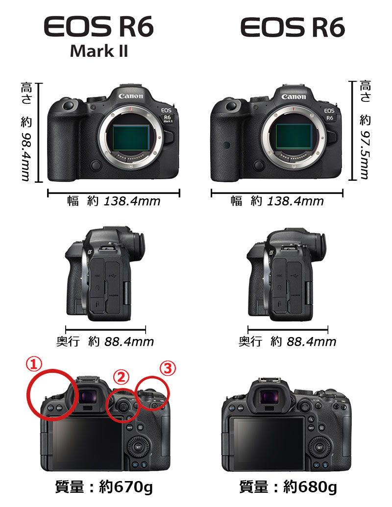 EOS R6大きさ比較