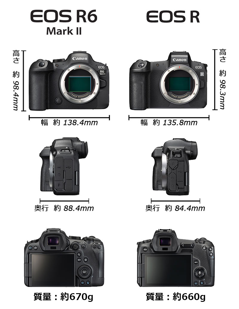 EOS R6大きさ比較