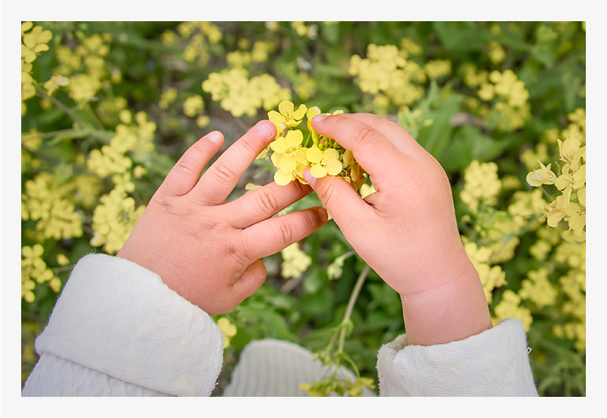 花にそっと手を近づけて優しく触ろうとしていました。子どもらしい肌の質感や血色から、温かさまで伝わってきそうです。