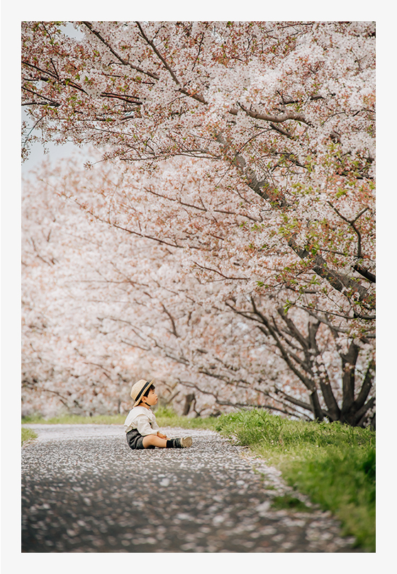 RF24-240mm F4-6.3 IS USMのテレ側240mmで撮影。望遠レンズの「圧縮効果」と滑らかなボケにより被写体が際立って、憧れの「ポツンと構図」がドラマチックに演出できました。