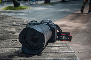 EOS R5×RF24-70mm F2.8 L IS USM