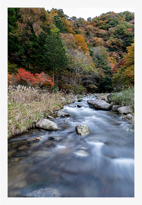 スローシャッターで水流を表現してみました。水の流れも美しく写ります。(F8・4秒・ISO100)