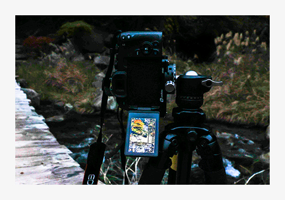 明るくてピントが合わせやすいバリアングル液晶モニター。少し暗い時間でも安心です。