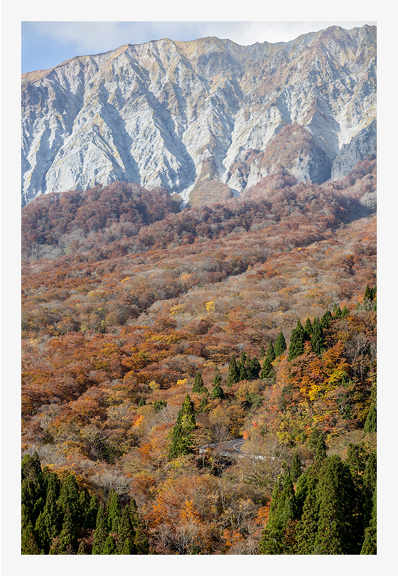 TELE端(焦点距離:105mm)で撮影。木々や岩肌の細かな部分までつぶれることなく描写されています。(F11・1/100秒・ISO125)