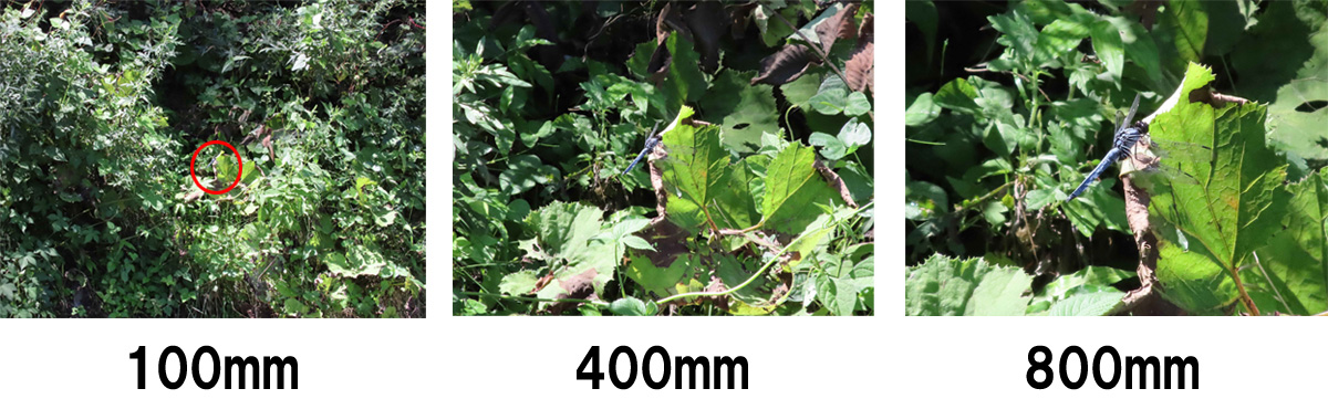 焦点距離100mm/400mm/800m