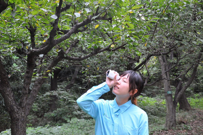 野鳥撮影