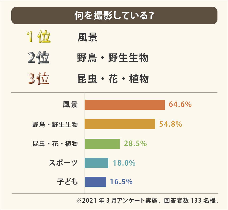 撮影している被写体