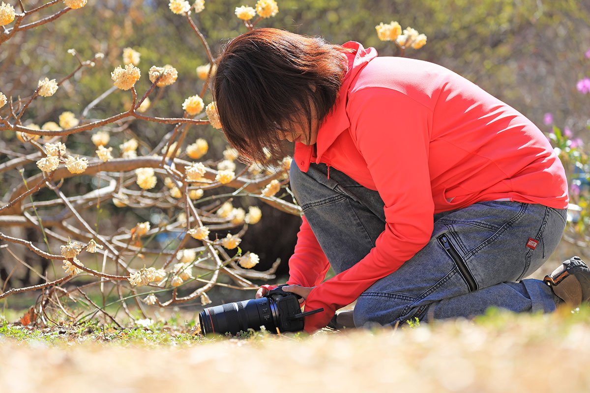 地面にカメラを置くようにして、バリアングル液晶モニターでライブビュー撮影