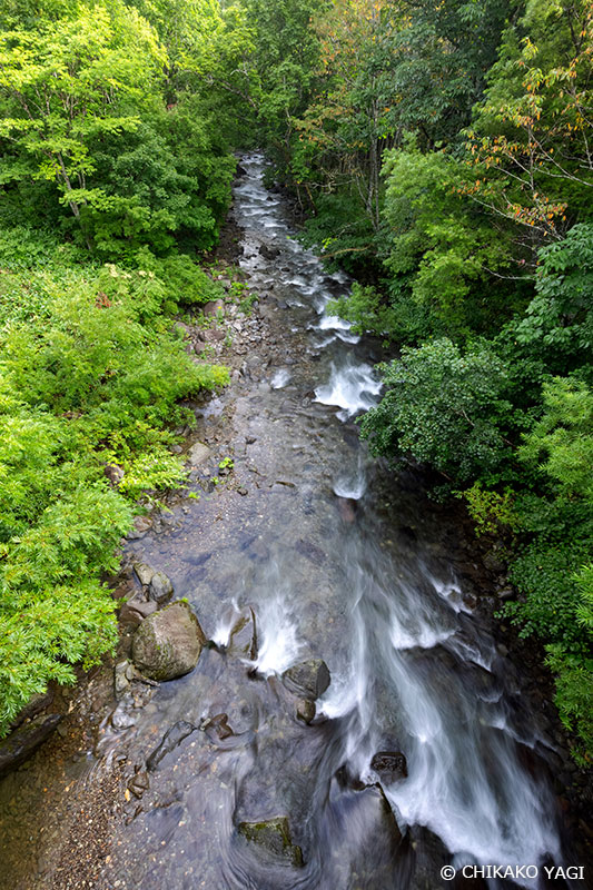 橋の上から川をのぞき込むように撮影。水の動きを表現しました。 Copyright CHIKAKO YAGI