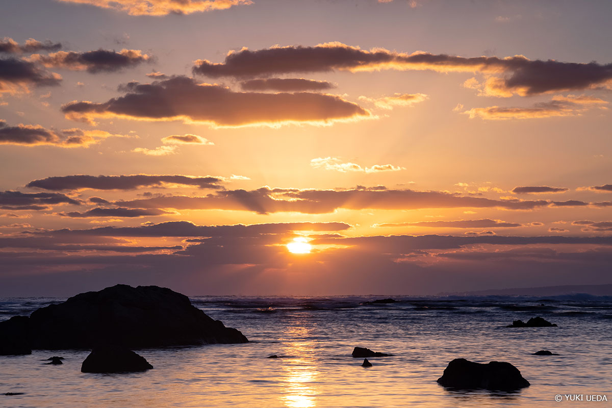 朝日の風景 Copyright YUKI UEDA