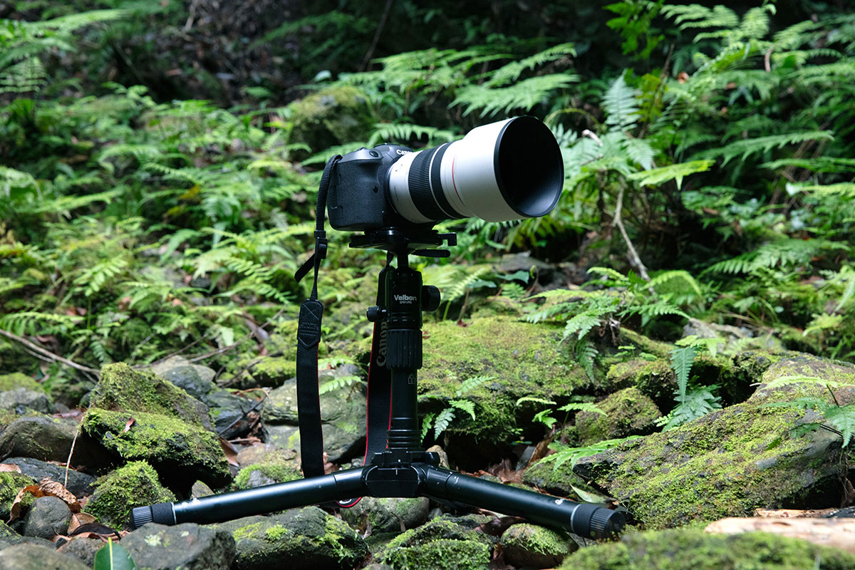 ベルボンの小型トラベル三脚 UT-63II