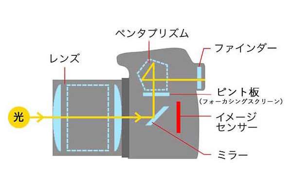 一眼レフカメラの場合