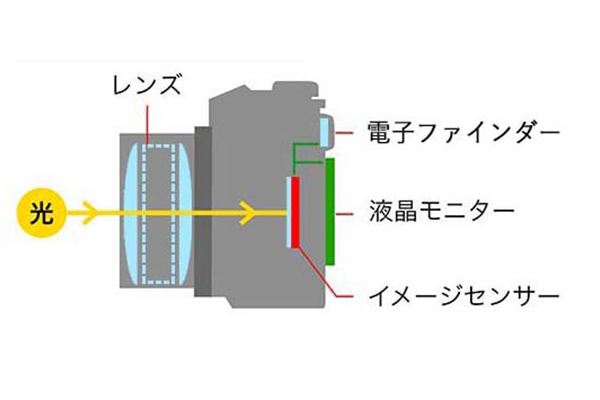 ミラーレスカメラの場合