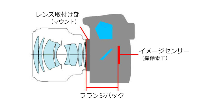 フランジバックとは