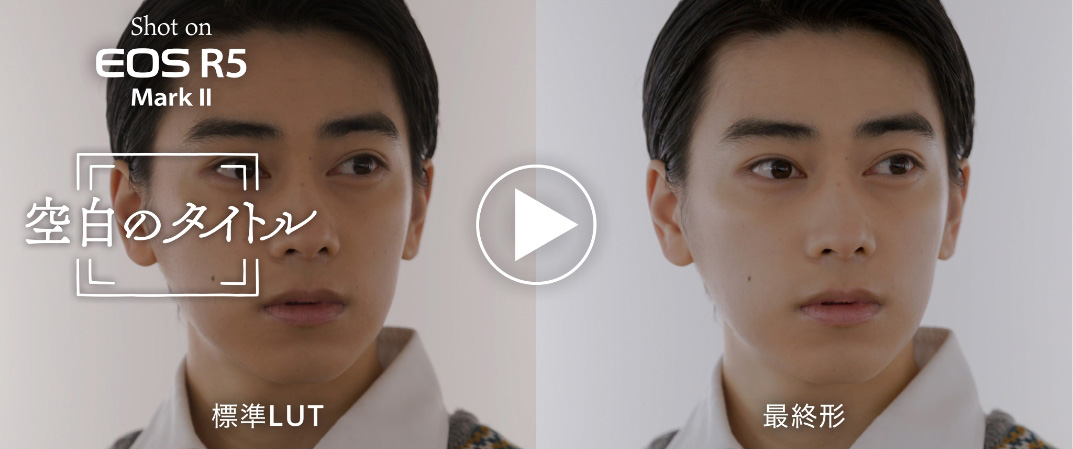 標準LUT 最終形 比較動画