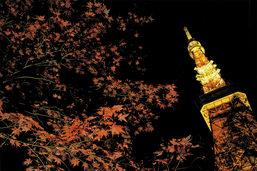 高感度撮影時のノイズ低減「しない」