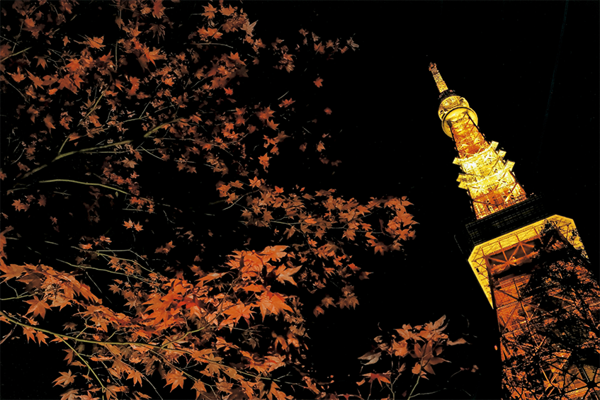 Digital Photo Professional