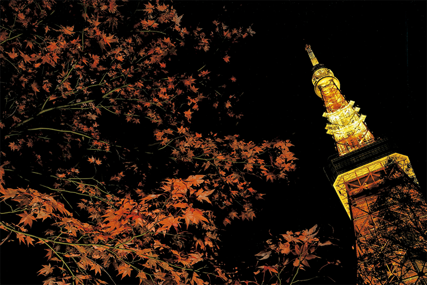 Neural network Image Processing Tool