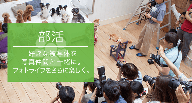 好きな被写体を写真仲間と一緒に。フォトライフをさらに楽しく。