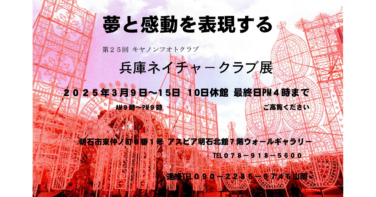 Canon オブジェ写真展出展の副賞です 第96回装苑賞 佳作2位 行廣賢太さんのポートフォリオ公開！ | 装苑賞