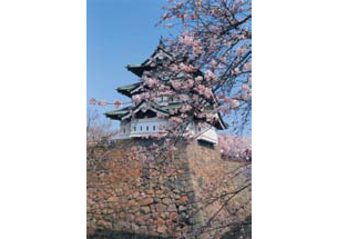 写真：フォトクラブ弘前 商品詳細へ