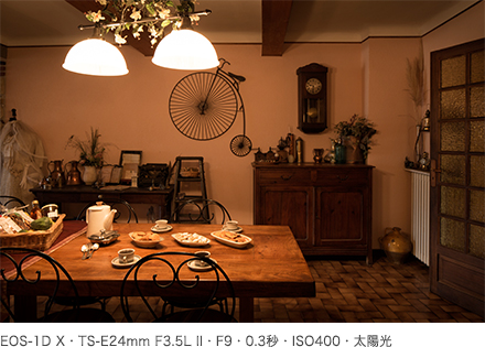 作例 EOS-1D X・TS-E24mm F3.5L II・F9・0.3秒・ISO400・太陽光