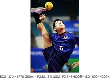 作例 EOS-1D X・EF70-200mm F2.8L IS II USM・F2.8・1/500秒・ISO1600・4200K