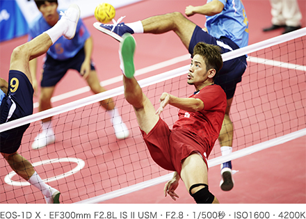作例 EOS-1D X・EF300mm F2.8L IS II USM・F2.8・1/500秒・ISO1600・4200K