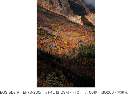 作例 EOS 5Ds R・EF70-200mm F4L IS USM・F10・1/100秒・ISO200・太陽光