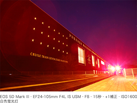 作例 EOS 5D Mark III・EF24-105mm F4L IS USM・F8・15秒・+1補正・ISO1600・白色蛍光灯