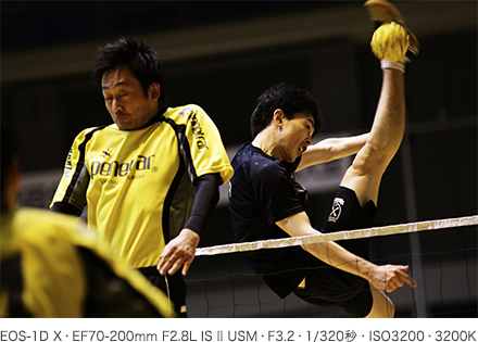 作例 EOS-1D X・EF70-200mm F2.8L IS II USM・F3.2・1/320秒・ISO3200・3200K