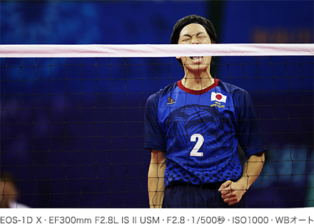 作例 EOS-1D X・EF300mm F2.8L IS II USM・F2.8・1/500秒・ISO1000・WBオート