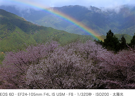 作例 EOS 6D・EF24-105mm F4L IS USM・F8・1/320秒・ISO200・太陽光