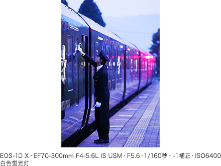 作例 EOS-1D X・EF70-300mm F4-5.6L IS USM・F5.6・1／160秒・-1補正・ISO6400・白色蛍光灯