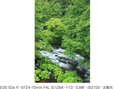 作例 EOS 5Ds R・EF24-70mm F4L IS USM・F13・0.8秒・ISO100・太陽光