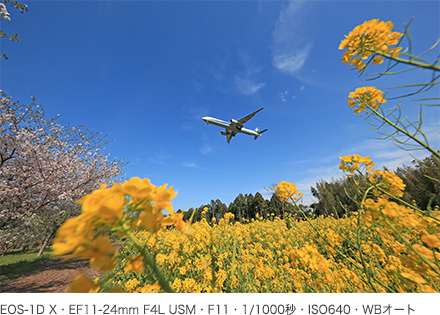 作例 EOS-1D X・EF11-24mm F4L USM・F11・1/1000秒・ISO640・WBオート