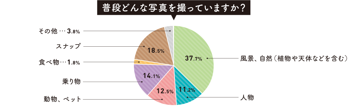 グラフ:普段どんな写真を撮っていますか?