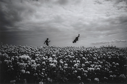 花畑で宙返りをしている人物